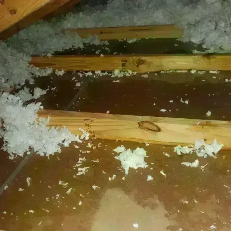 Attic Water Damage in Calabash, NC