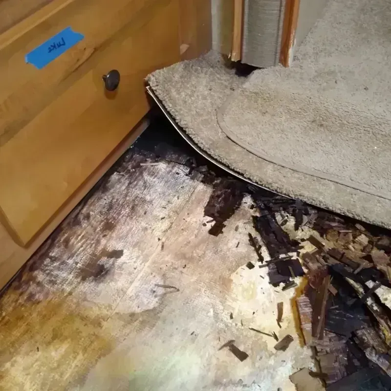 Best Wood Floor Water Damage Service in Calabash, NC